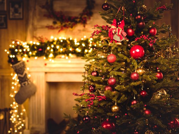 Festliche adventliche Familien-Tage Weihnachten 2024 in Bayerisch Eisenstein, Bayern Frühstück Unkategorisiert online kaufen